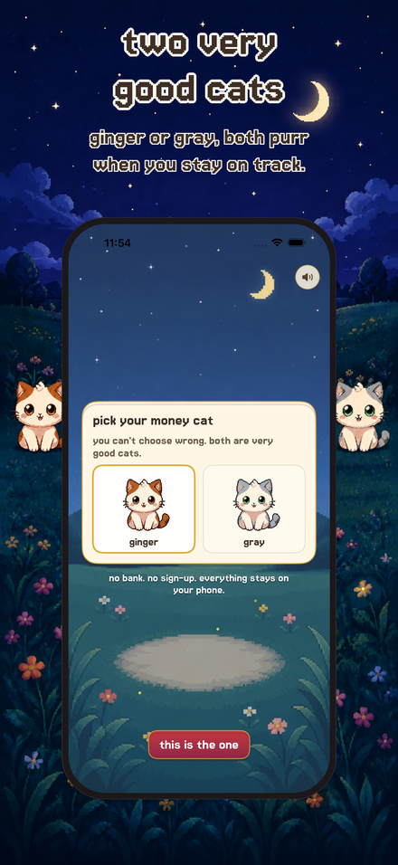picking your money cat: ginger or gray
